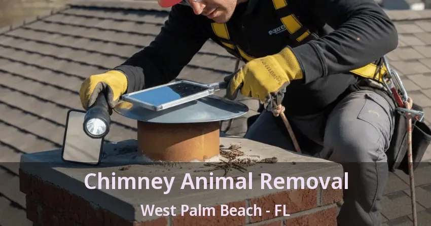 Chimney Animal Removal West Palm Beach - FL