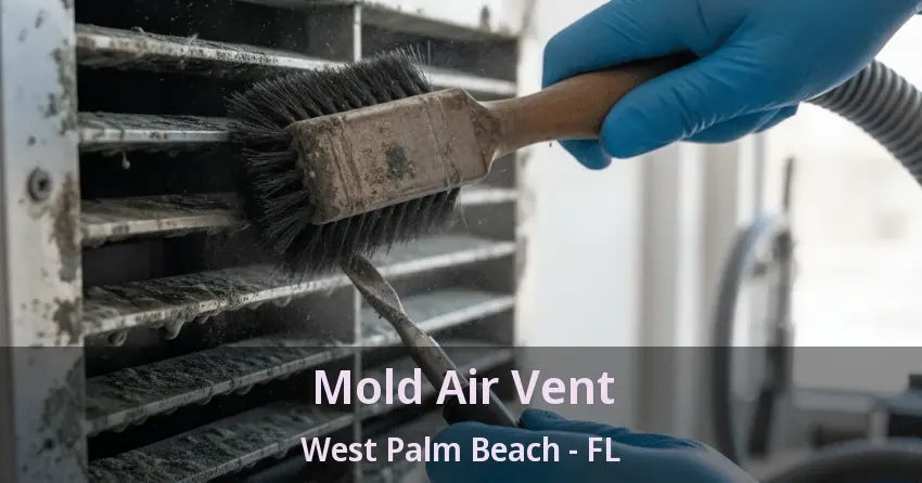 Mold Air Vent West Palm Beach - FL Mold Air Vent West Palm Beach - FL