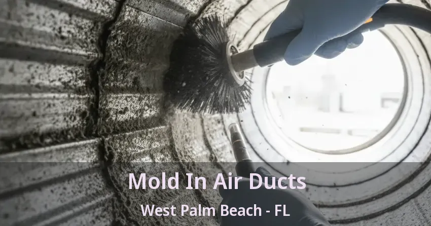 Mold In Air Ducts West Palm Beach - FL