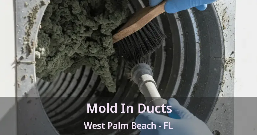 Mold In Ducts West Palm Beach - FL Mold In Ducts West Palm Beach - FL