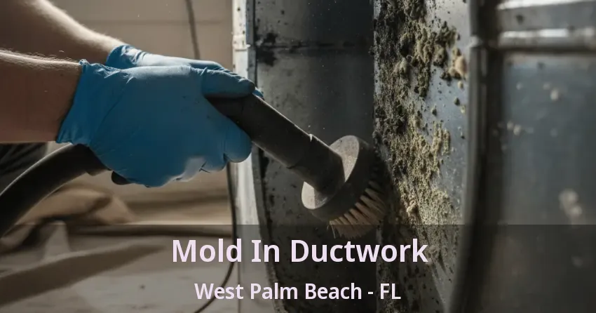 Mold In Ductwork West Palm Beach - FL