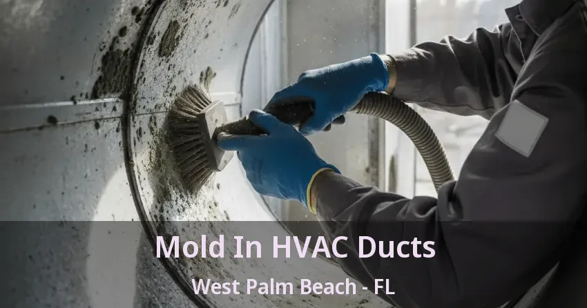 Mold In HVAC Ducts West Palm Beach - FL